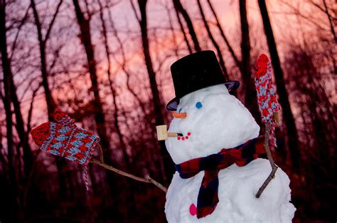 Sunset Snowman Photograph By Susan Sheldon Fine Art America
