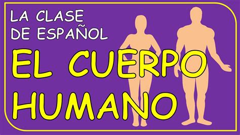 The Human Body In Spanish El Cuerpo Humano Youtube