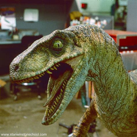 Full Size Velociraptor For The Lost World Jurassicpark At