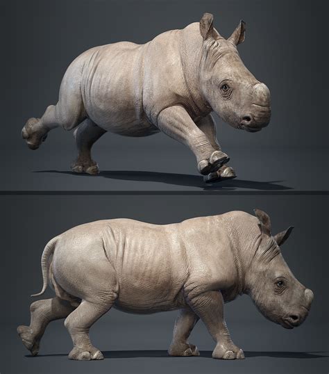 Rhino Baby 3d Model Baby Rhino Animals Rhino