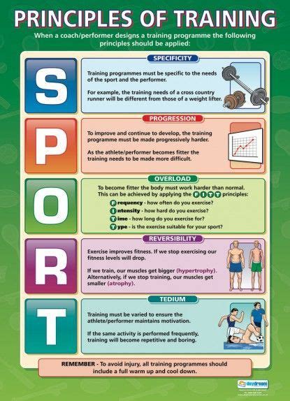 Principles Of Training Physical Education School Posters Physical