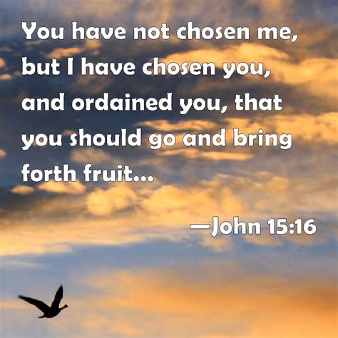 John 1516 You Have Not Chosen Me But I Have Chosen You And Ordained