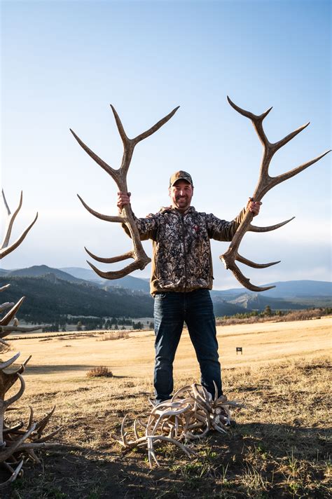 MONSTER ELK SHEDS!!! | Colorado hunting, Elk hunting, Hunting