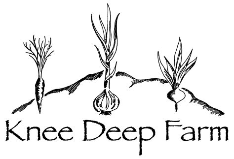 knee deep farm home