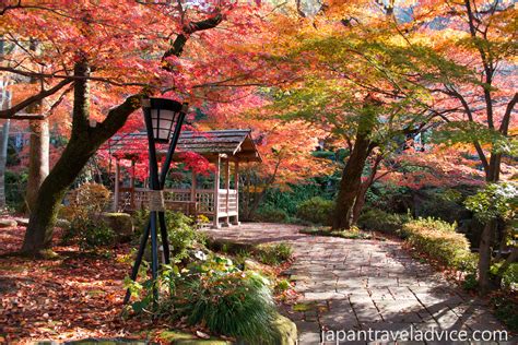 Autumn Colors Forecast 2015 in Japan | Japan Travel Advice