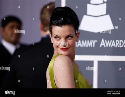 Pauley Perrette 2011 Hi Res Stock Photography And Images Alamy