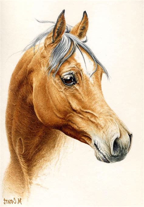 11 Beau De Cheval Dessin Couleur Photos Horses Horse Painting Horse