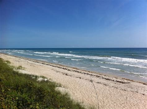 Playalinda Beach At Canaveral National Seashore