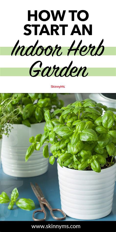 How To Start An Indoor Herb Garden Herbs Indoor Herb Garden Herb Garden