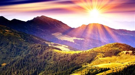Mountains Simply Beautiful Hills Sunlight Peaceful Tree Sun Forest