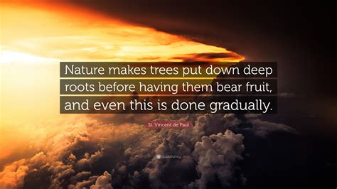 St Vincent De Paul Quote “nature Makes Trees Put Down Deep Roots