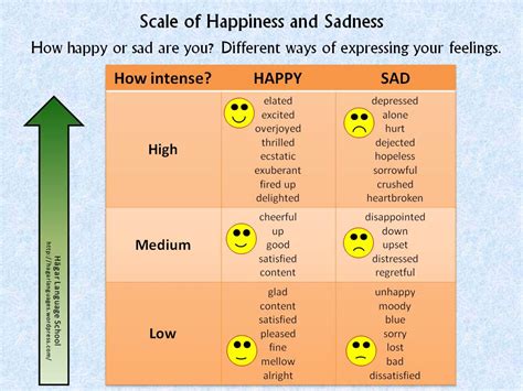 Scale Of Happiness And Sadness Hägar Language School