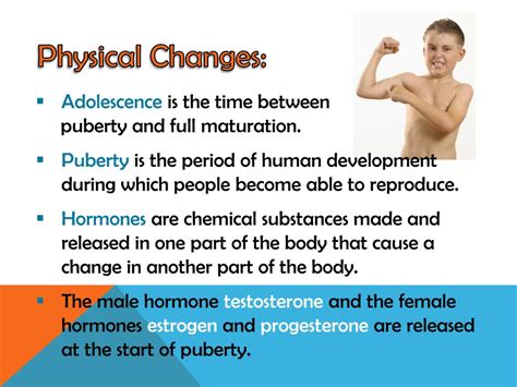Ppt Physiological Changes During Puberty Menopause Powerpoint The
