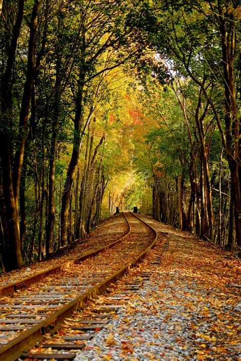 Autumn Railroad Little Used Rail Track In Serene Autumn Pathway Ad