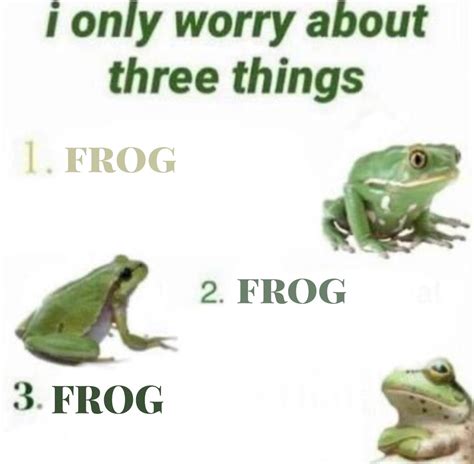 34 Fantastic Frog Memes For Amphibian Enthusiasts Artofit
