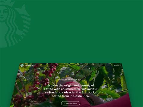 Starbucks Coffee Experiences By Radilson Gomes On Dribbble