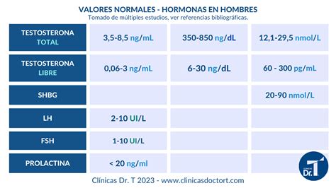 Hormonas Masculinas Cuáles Son y Valores Apropiados Dr T