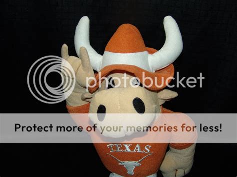 New 16 Ut Plush University Texas Longhorns Bevo Mascot Ebay