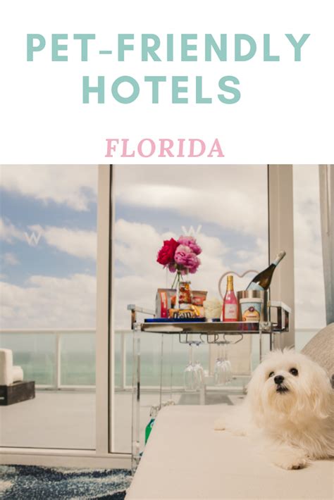 List Of Florida Pet Friendly Hotels Florida Hotels Pet Friendly
