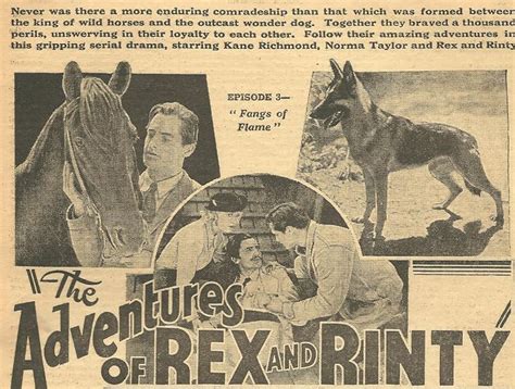 The Adventures Of Rex And Rinty 1935 Imdb