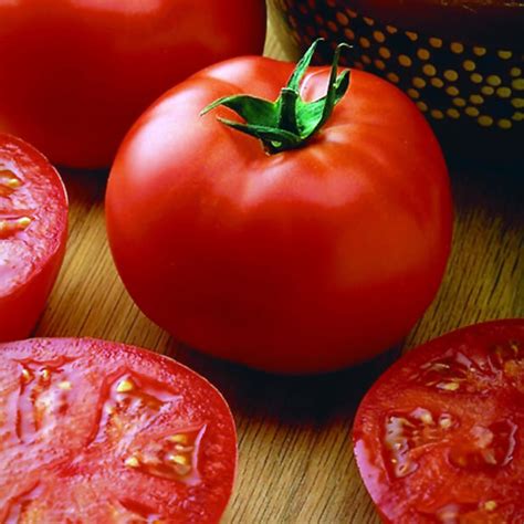 Tomato Seeds In Canada Order Online Osc Seeds