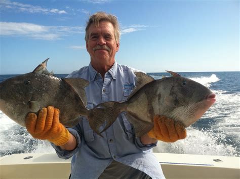 Please note that the ordinance may be amended from time to time, which may not be reflected for some period of time here or on the official ordinances above. Fishing - TYBEE ISLAND CHARTERS