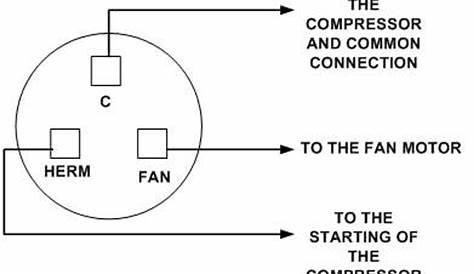 3 Wire Ac Dual Capacitor Wiring Diagram - Wiring Diagram