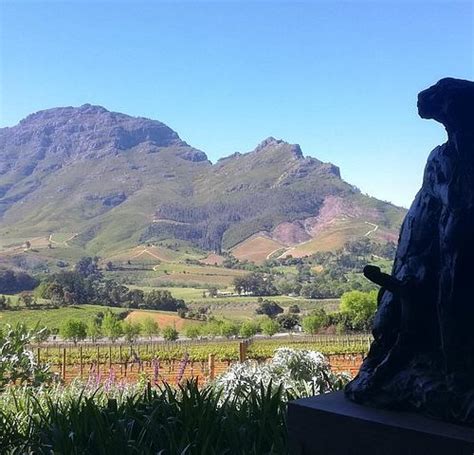 The 15 Best Things To Do In Franschhoek 2022 With Photos Tripadvisor