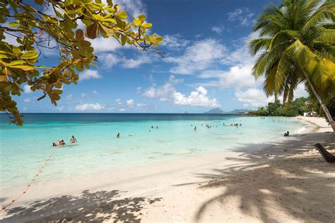 The Best Beaches In Martinique