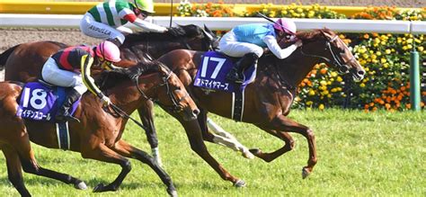 競馬2021 競馬2021 競馬2021 競馬2021 競馬2021 競馬2021 競馬2021 競馬2021 競馬2021 競馬2021 競馬2021 競馬2021 競馬2021 競馬2021 競馬2021 競馬2021. 【NHKマイルカップ2020】予想オッズと本命馬情報|3連単6点勝負 ...
