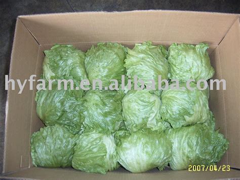 fresh iceberg lettuce china han lu price supplier 21food