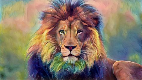 lion, Animals, Wildlife Wallpapers HD / Desktop and Mobile ...