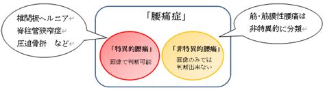 筋・筋膜性腰痛 ぜんしん整形外科 立川スポーツリハビリクリニック