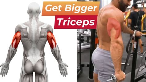 Best Triceps Exercises For Bigger Arms Men S Fitness Beat