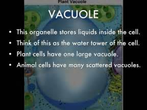 Check spelling or type a new query. Cell Structure by Chaucer Ruland