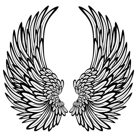 Angel Wings Drawn Clipart Best