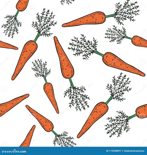 Carrot Pattern Stock Vector Illustration Of Agriculture 119208891