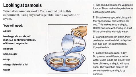 Osmosis is important for animal cells in order to keep the ion concentration balanced between the internal and external environment. What is Osmosis? - Ency123