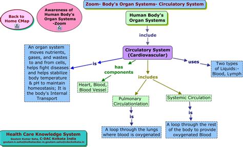 27 Body Systems Concept Map Maps Online For You