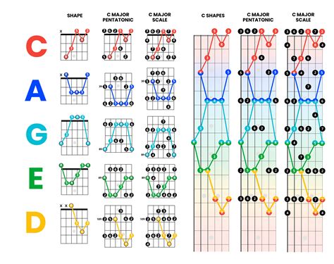 What Is The Caged System For Guitar Learn The Caged Method Today