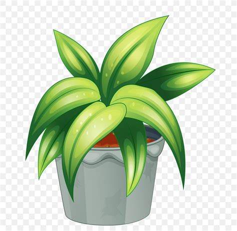 Free Potted Plant Cliparts Download Free Potted Plant Cliparts Png