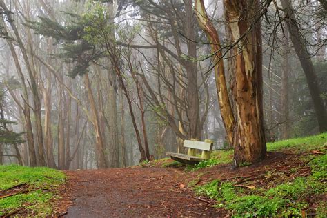 McLaren Park San Francisco Find Your Trail