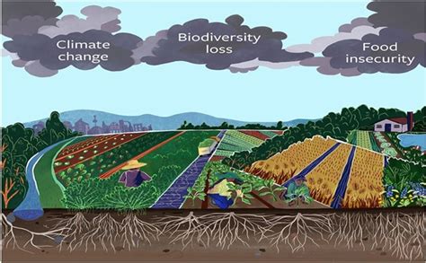 Global Perspective Of Biodiversity Climate Change And Food Security