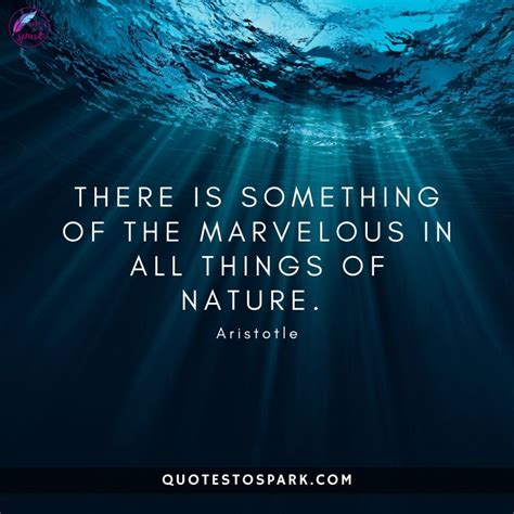 Best Nature Quotes To Understand Its Importance