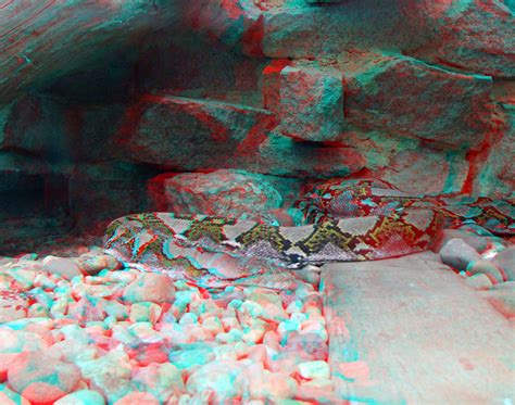 3d Redcyan Anaglyph Dresden Zoo Netzpython A Photo On Flickriver