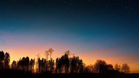 Night Sky Trees Free Photo On Pixabay Pixabay