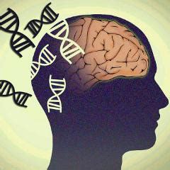 Key facts, symptoms, causes of schizophrenia, who response. Schizophrénie : non pas une maladie unique mais 8 troubles ...