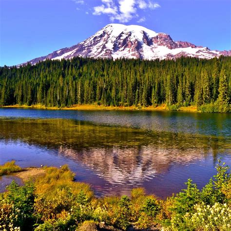 Mount Rainier Mount Rainier National Park Ουάσιγκτον Κριτικές