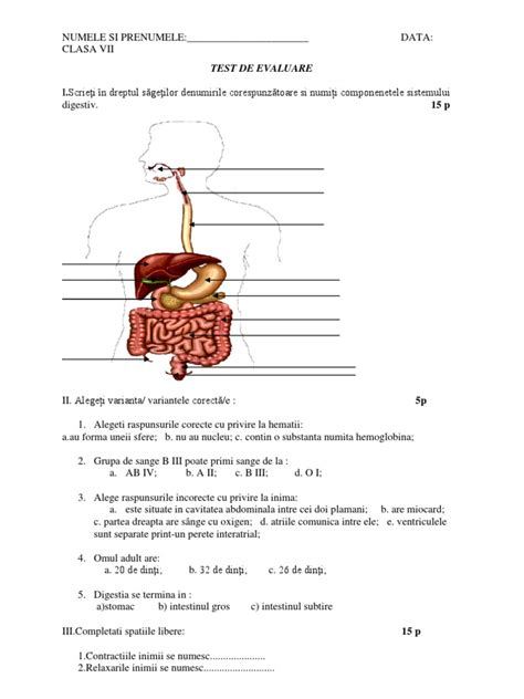 Test De Evaluare Sistemul Digestiv și Sistemul Circulator