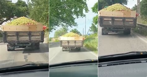 Camião Pneu Furado e a Deixar Cair Fruta Pelo Caminho Em Leiria